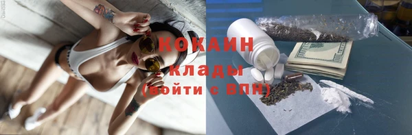 шишки Осинники
