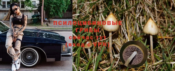 MDMA Premium VHQ Бугульма