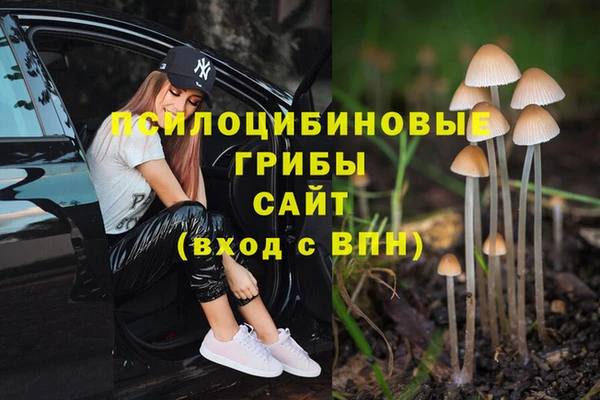 MDMA Premium VHQ Бугульма