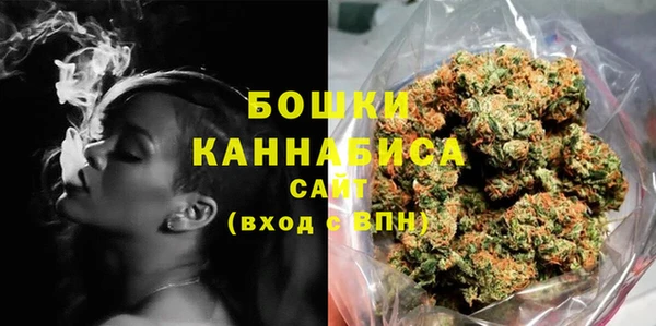 шишки Осинники