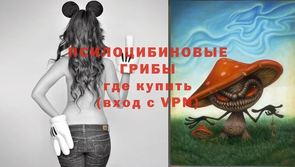 MDMA Premium VHQ Бугульма