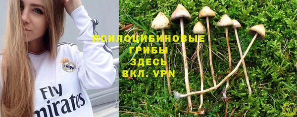 Альфа ПВП Верхнеуральск