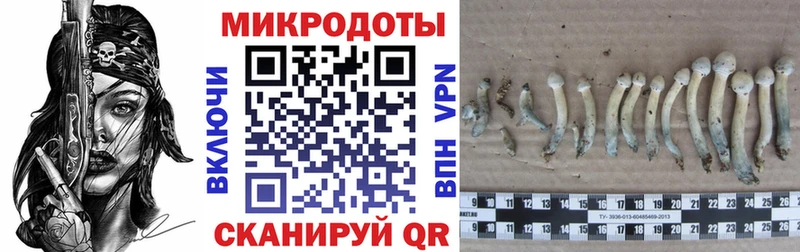 Галлюциногенные грибы прущие грибы  Каменск-Уральский 